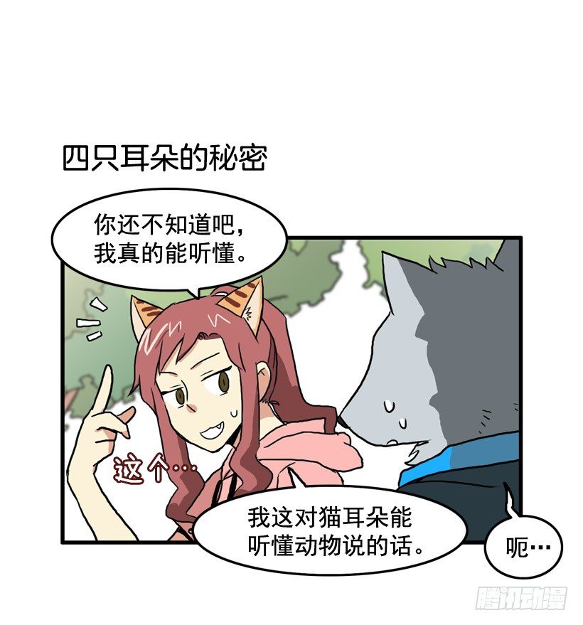 决心减肥21