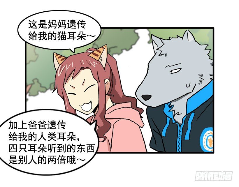 决心减肥22