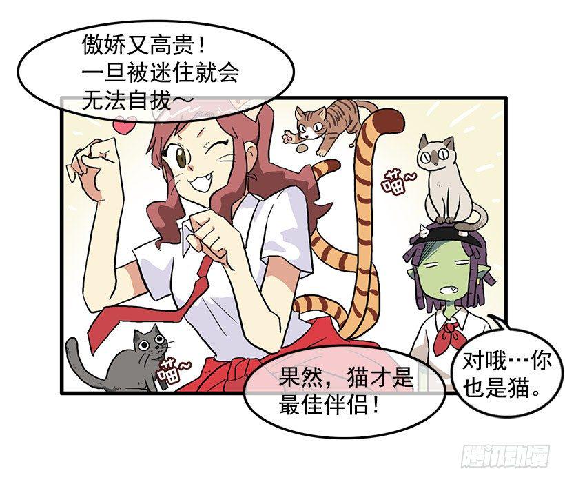 猫咪12