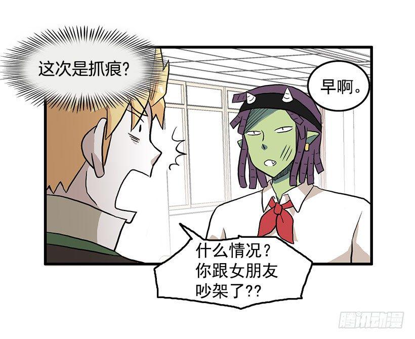 猫咪4