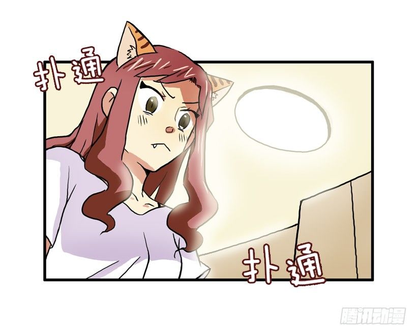 决心减肥36