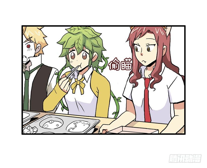 决心减肥28