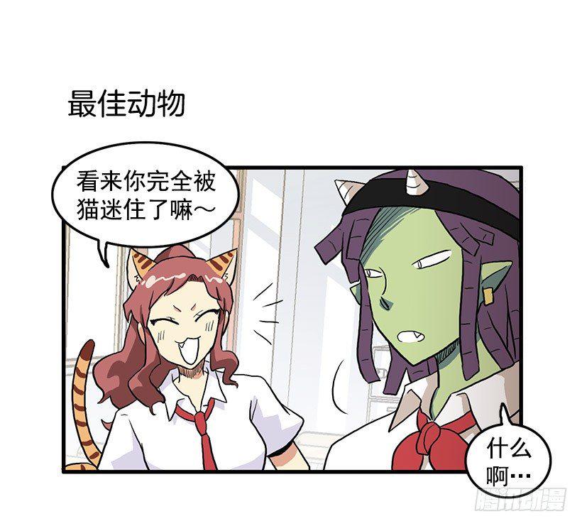 猫咪11