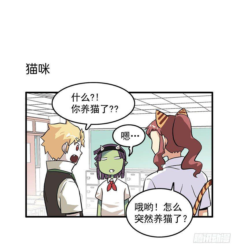 猫咪6