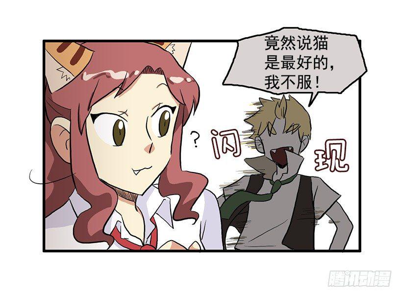 猫咪13