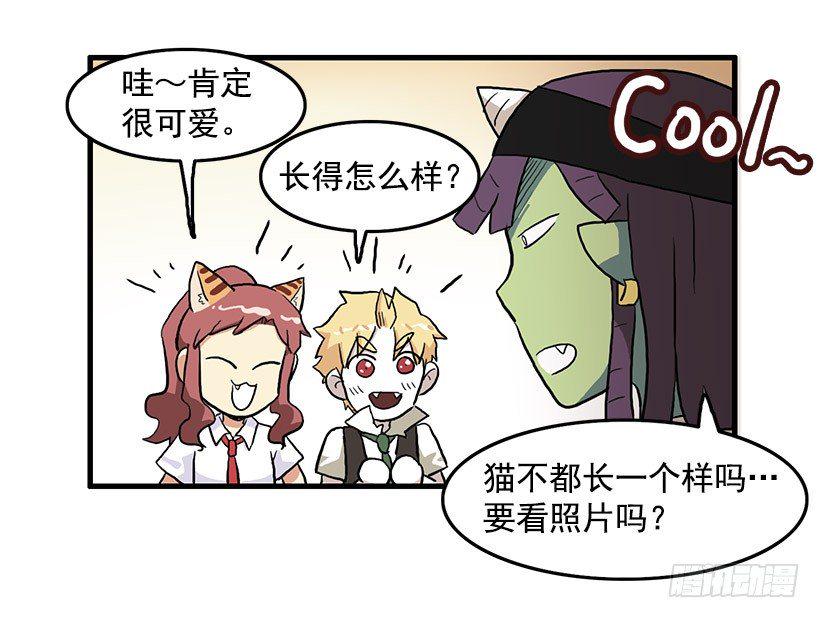 猫咪8