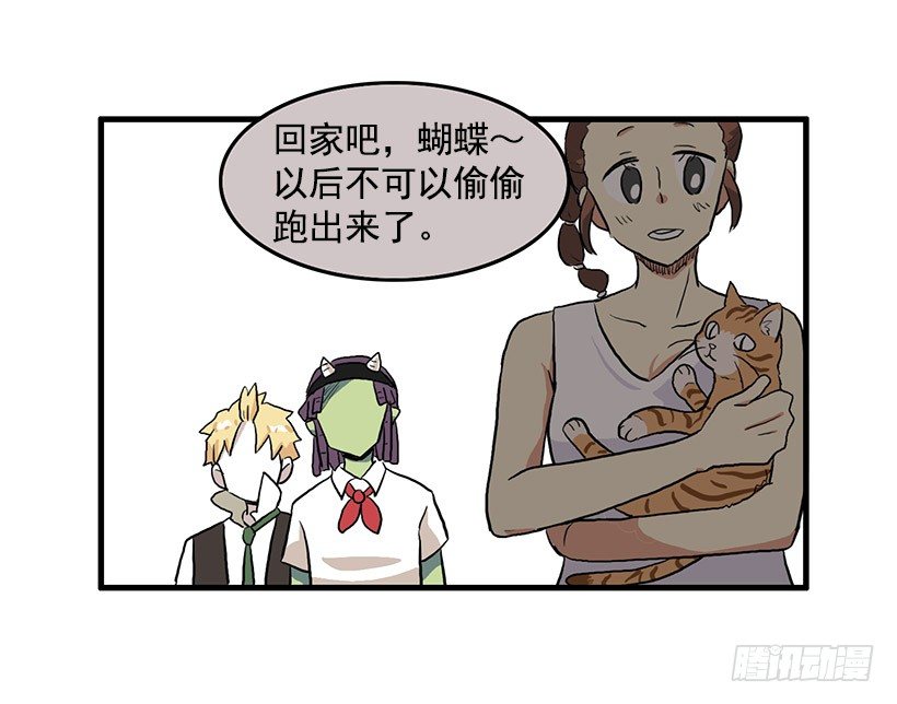 猫咪36