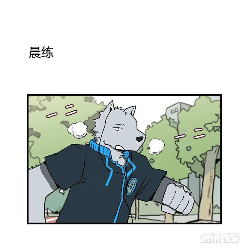 运动31