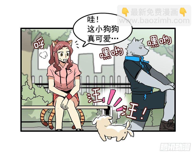 决心减肥18