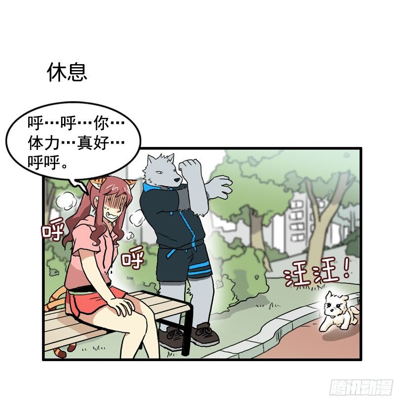决心减肥17