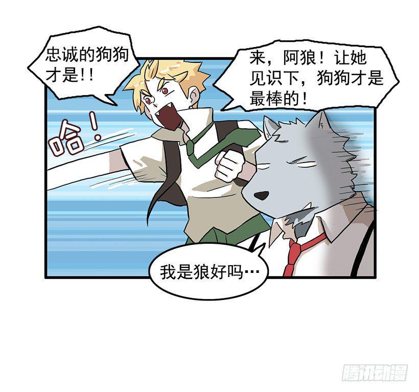 猫咪14