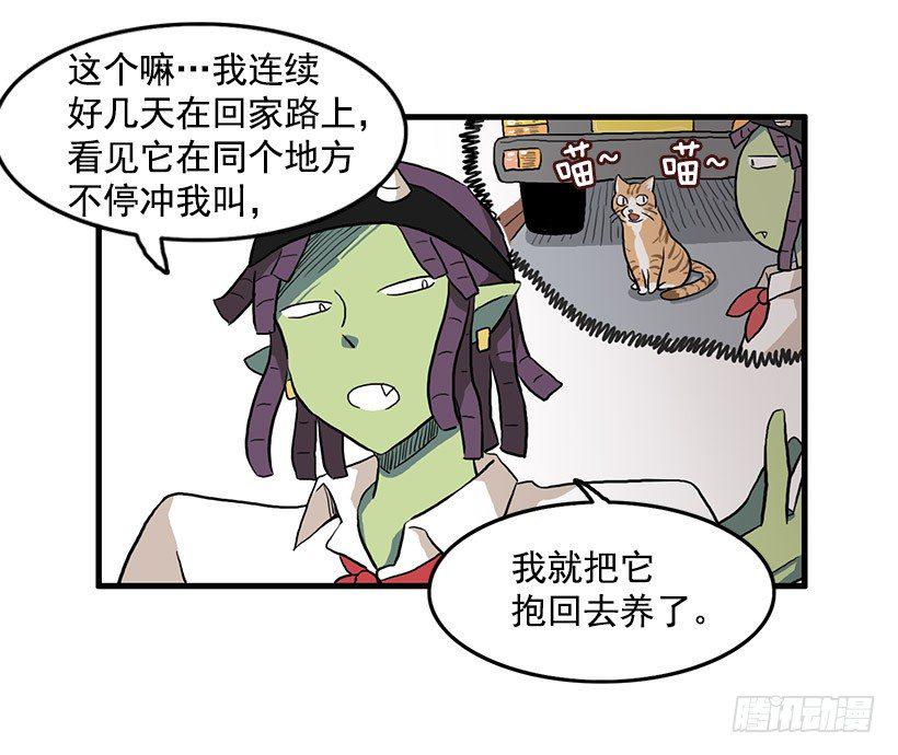 猫咪7