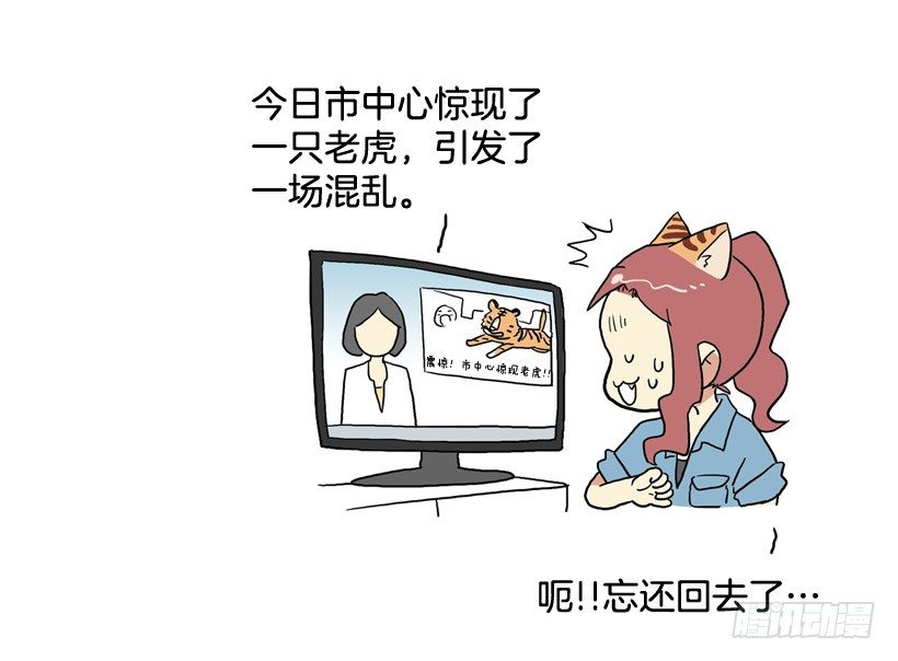 胆子太小59