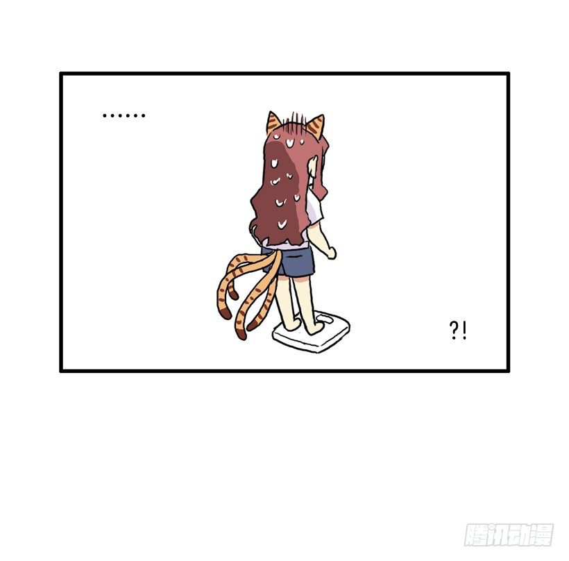 决心减肥40