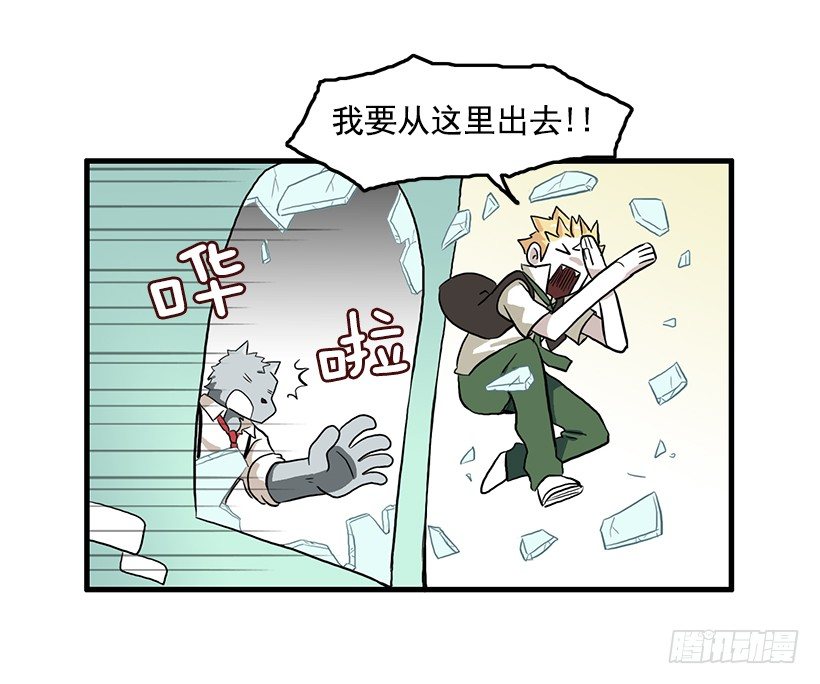 联手28