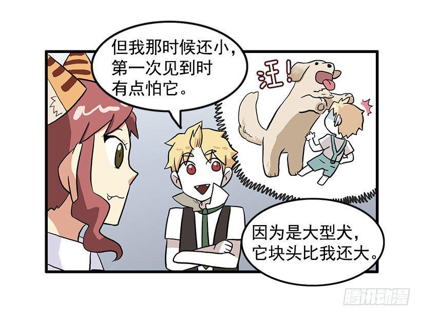 猫咪16