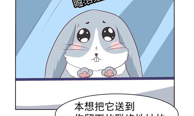 第15话 忘了他10