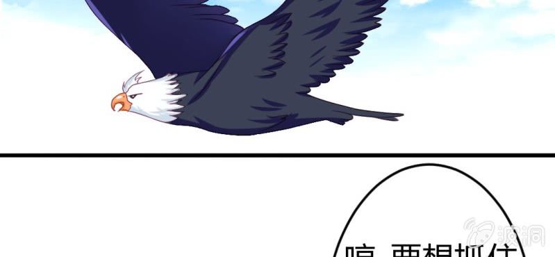 第二十四章:神仙不懂怜香惜玉78