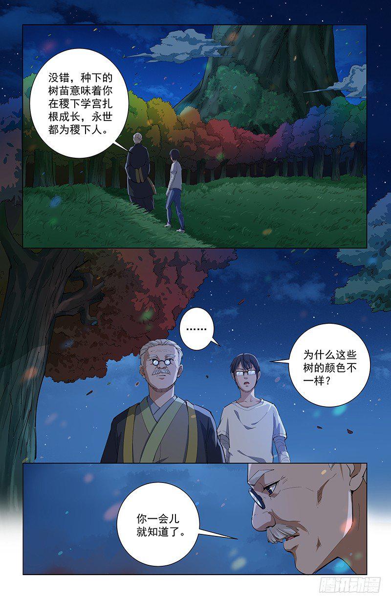 30五行树2