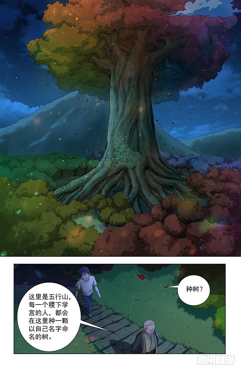 30五行树1
