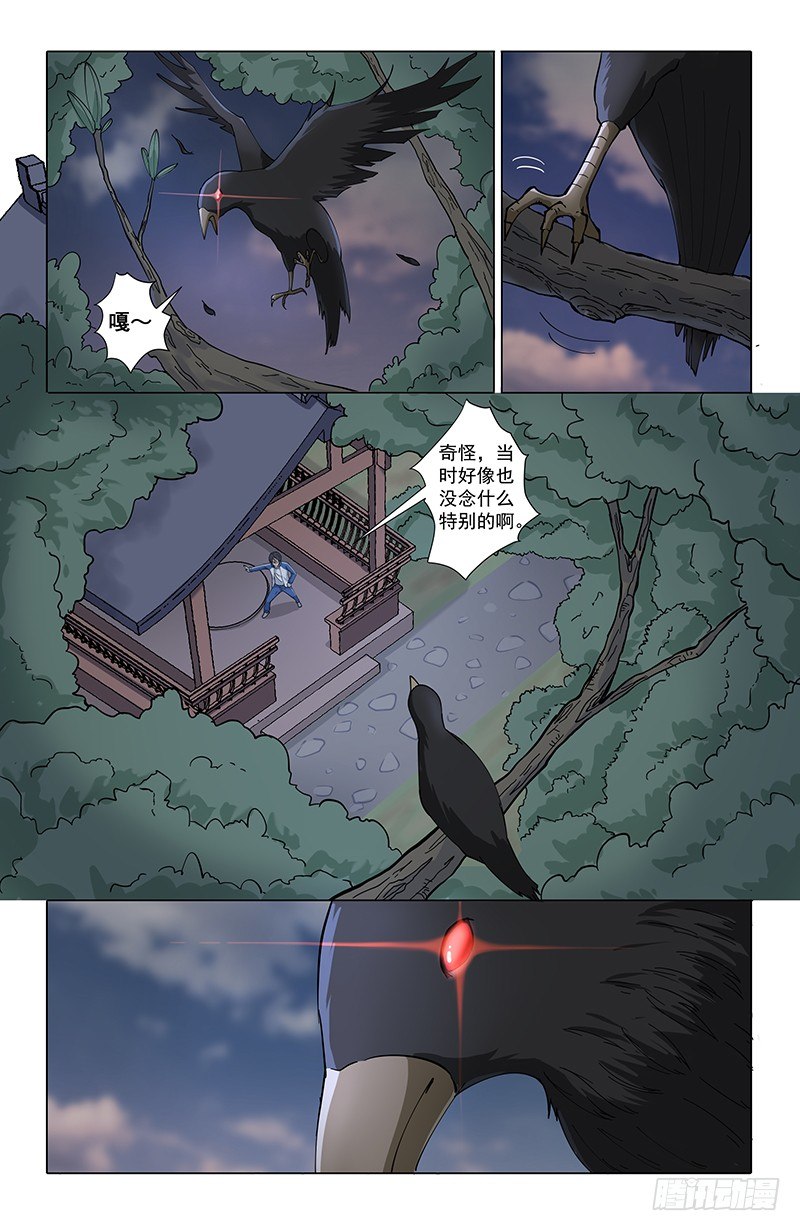 05乌鸦3