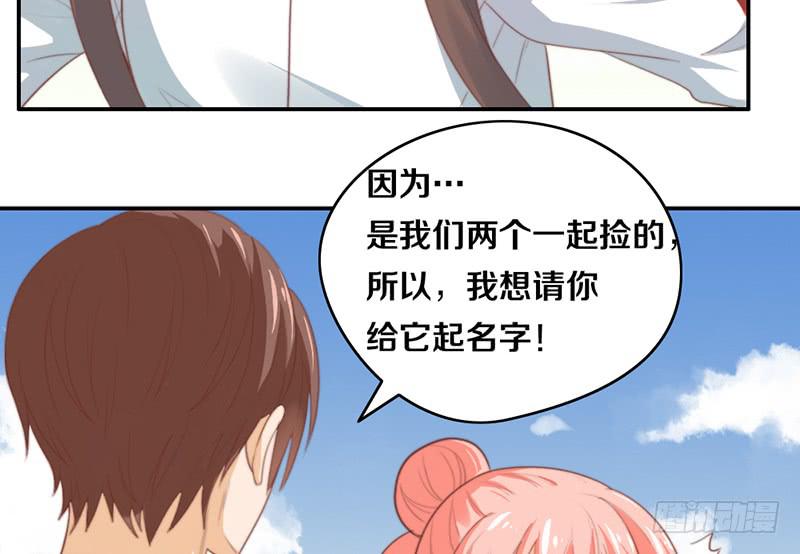 第14话 你点的狗粮已到29