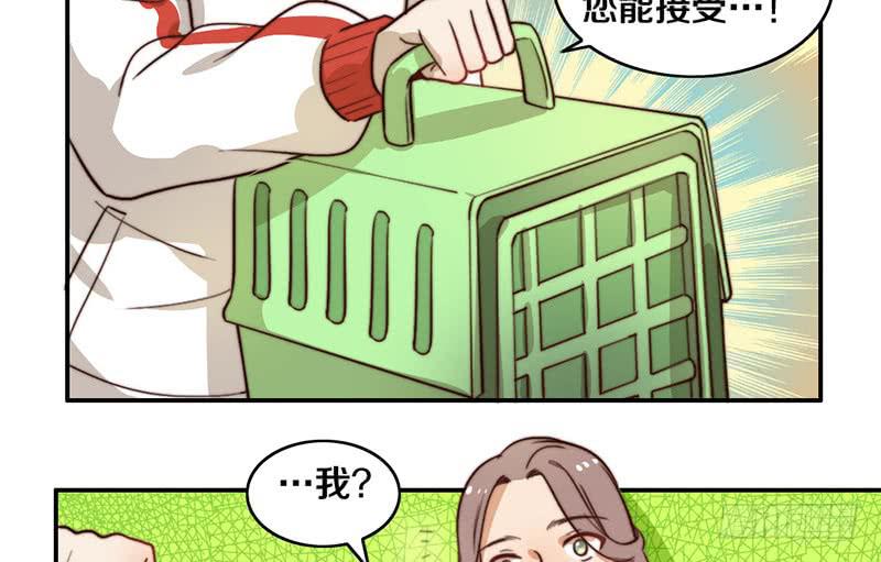 第29话 礼物37