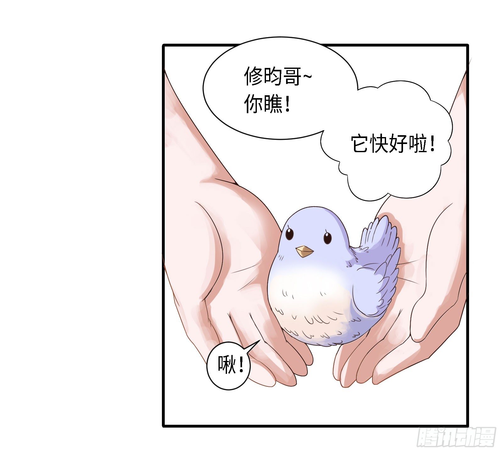 修昀哥哥最好啦！9