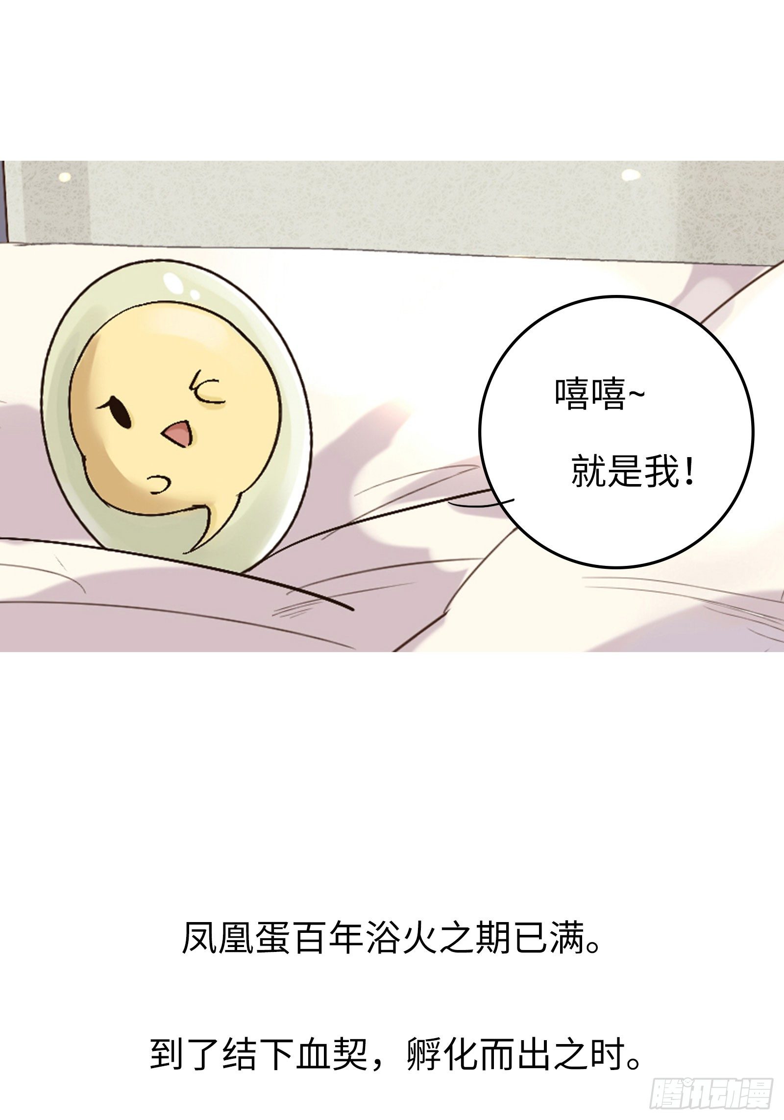 预告5