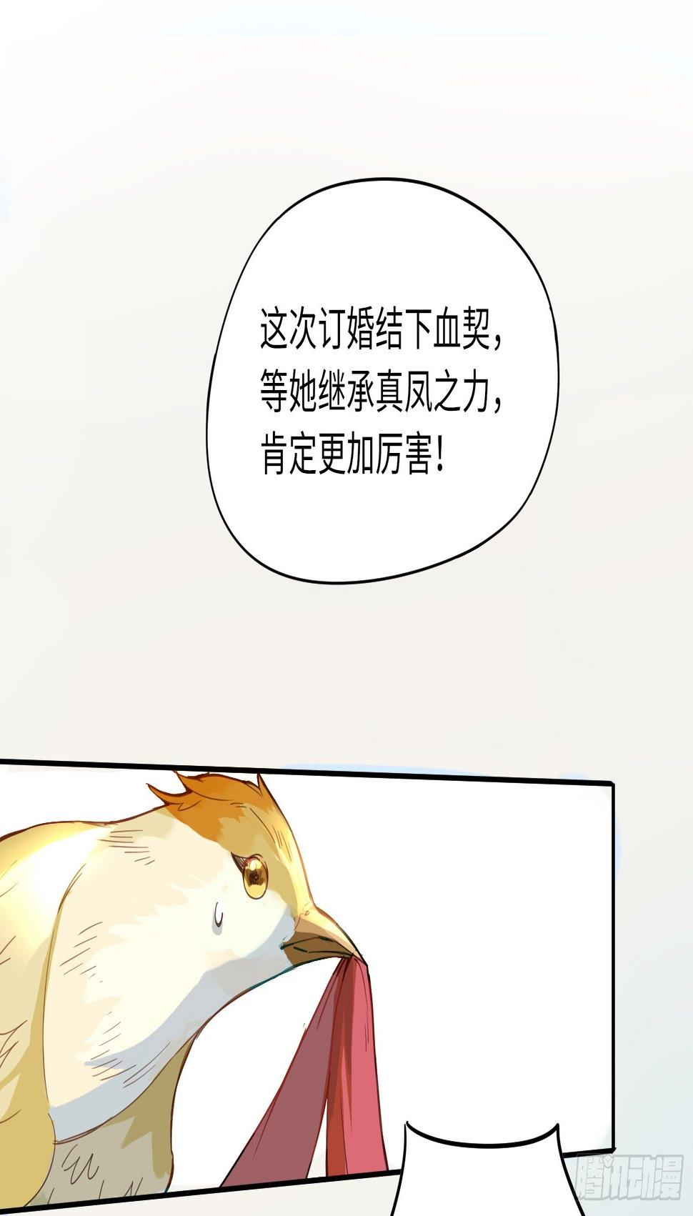 喂！快把我孵出来呀！9