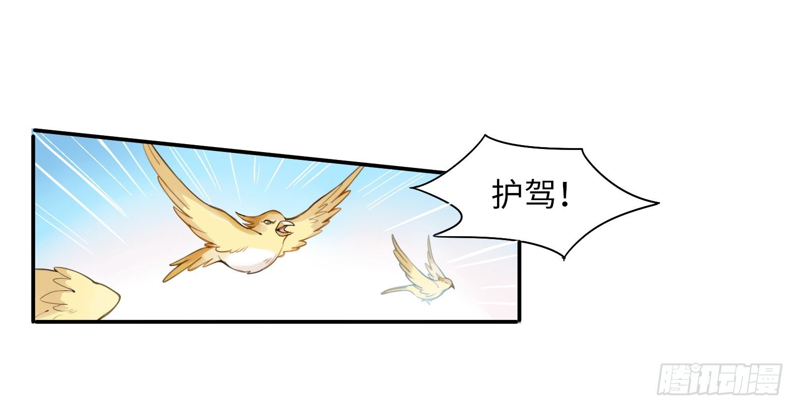 喂！快把我孵出来呀！11