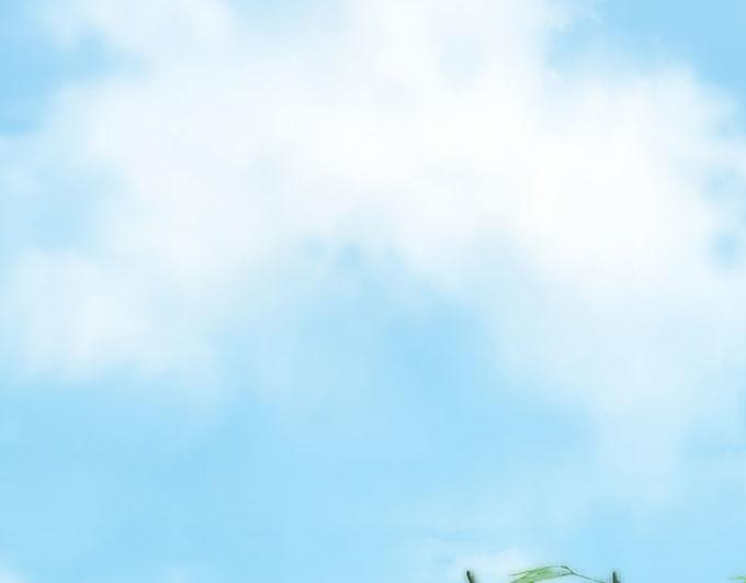 第41话32