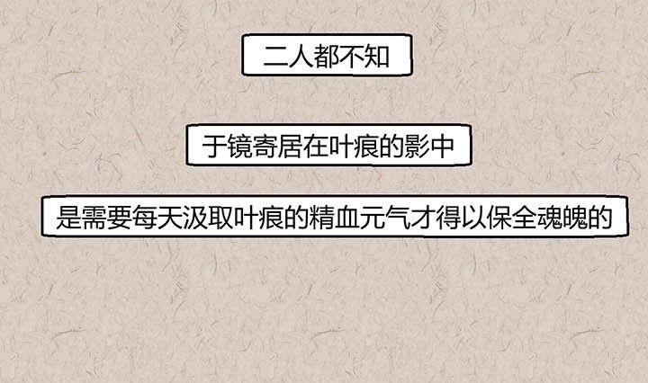 中秋节：月下疏影客38