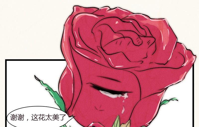 情人节：玫瑰恋人40