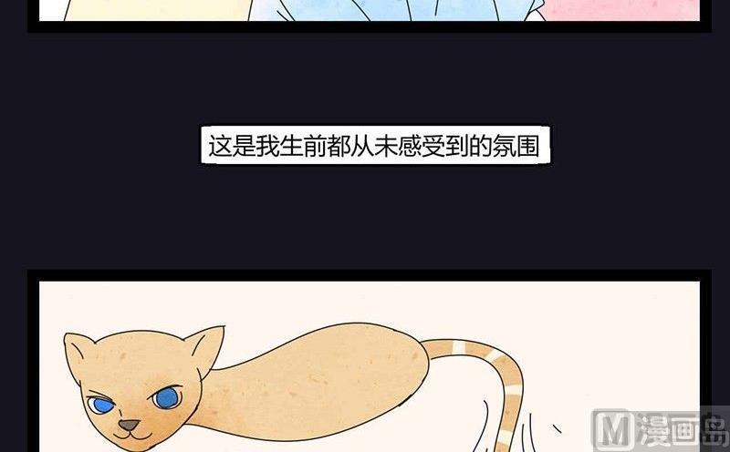 中元节 52赫兹45