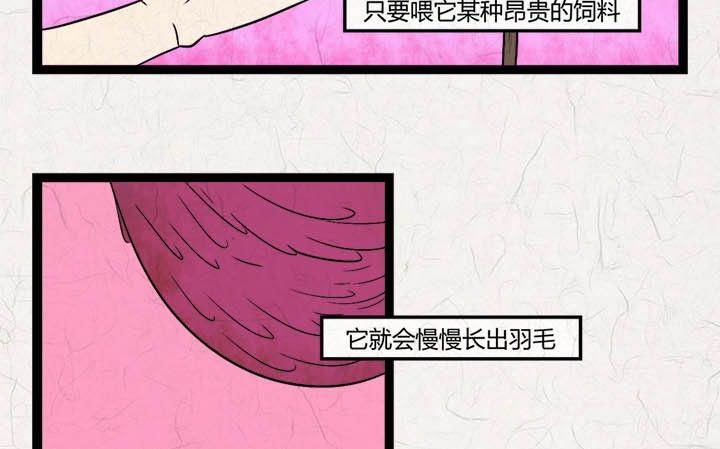 七夕：银河小镇7