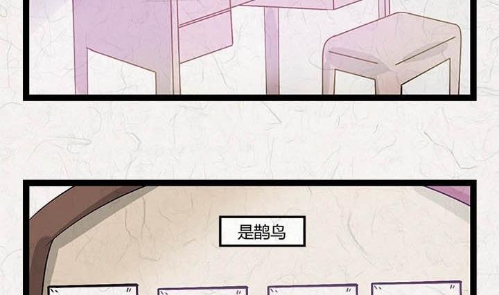 七夕：银河小镇74