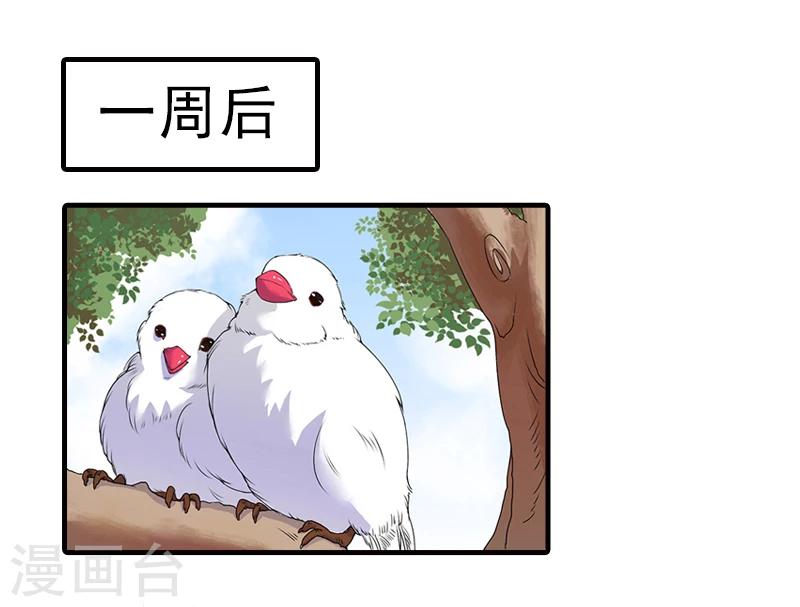 第13话 我喜欢你！18