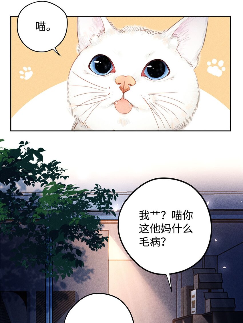 31 你的取向是……男？7
