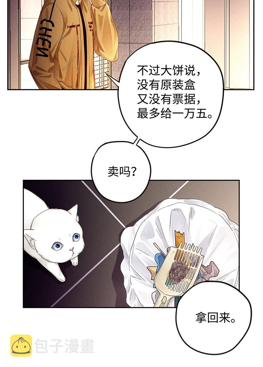 11 截然不同的生活4