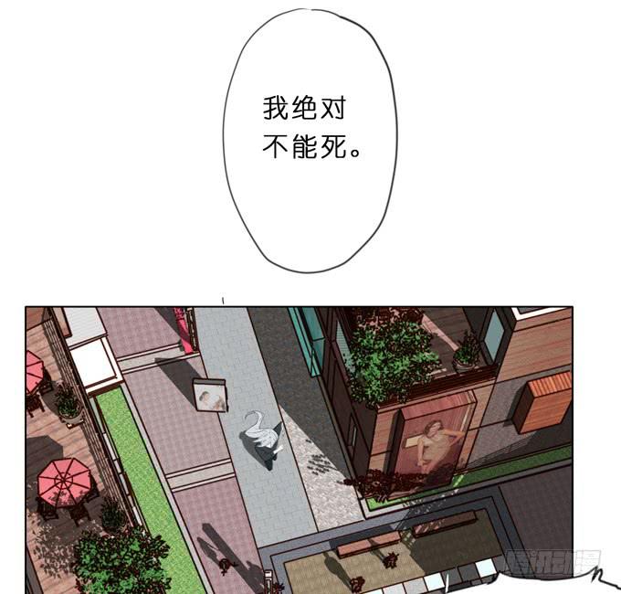 9话 这事我不得不管了！6