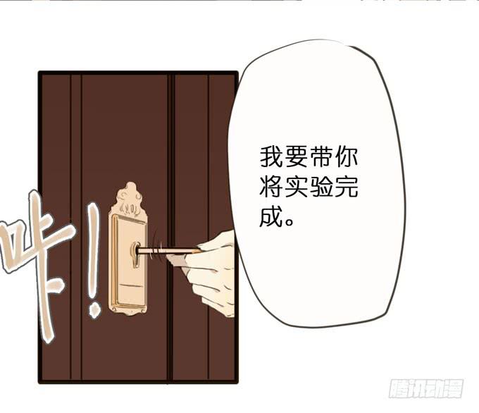 22话 最完美的实验体17