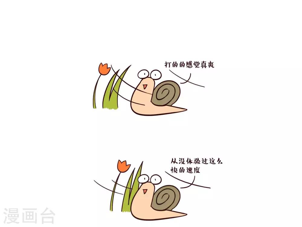 第17话  乌龟的士0
