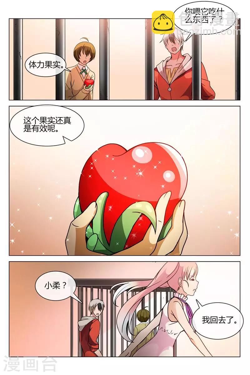 第22话 体力果5