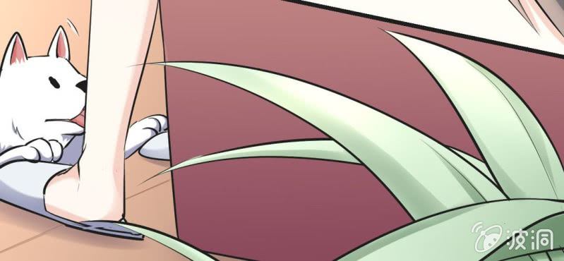第12.5话番外 女装？搞基？新年福利！17