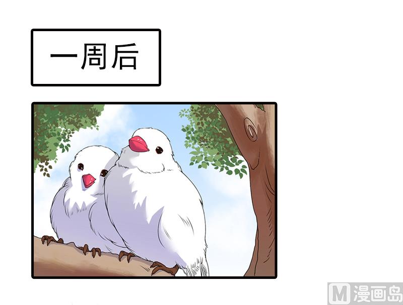 第13话 我喜欢你！20
