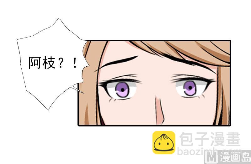 第33话 阿枝，我想你了13