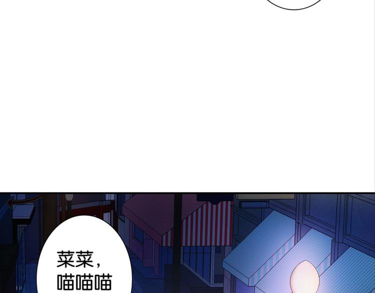 第31话：猫雀之争——寻猫婆婆8