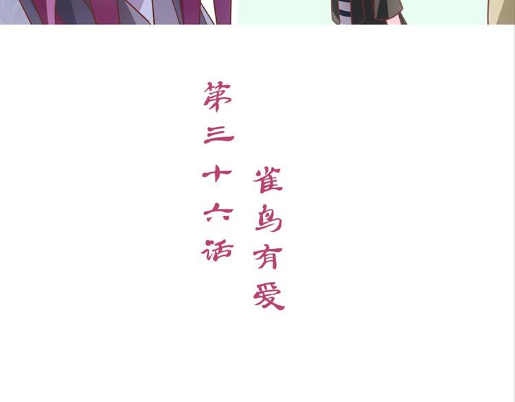 第36话：雀鸟有爱2