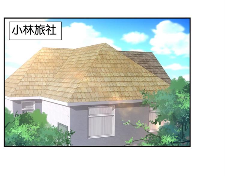 第31话：猫雀之争——寻猫婆婆30